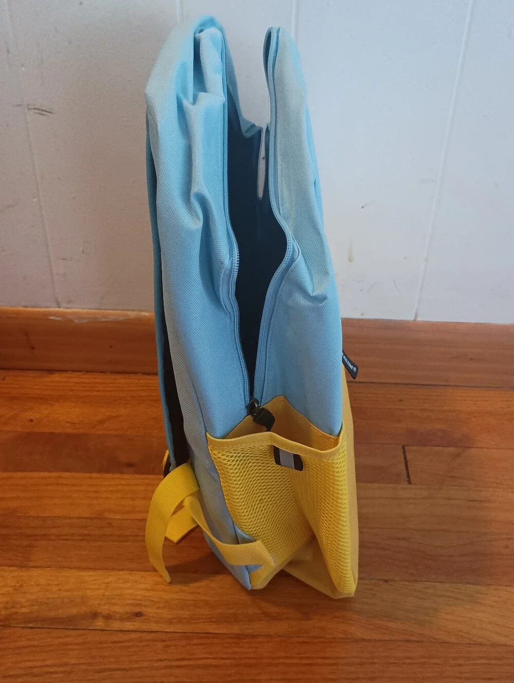 Source Unknown light blue